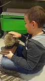oszt&aacute;lykir&aacute;ndul&aacute;s 1.a