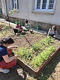 🌍 F&ouml;ld napi programok a Pestszentimrei Ady Endre &Aacute;ltal&aacute;nos Iskol&aacute;ban 🌿