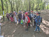 Var&aacute;zslatos z&ouml;ld &ouml;sv&eacute;ny